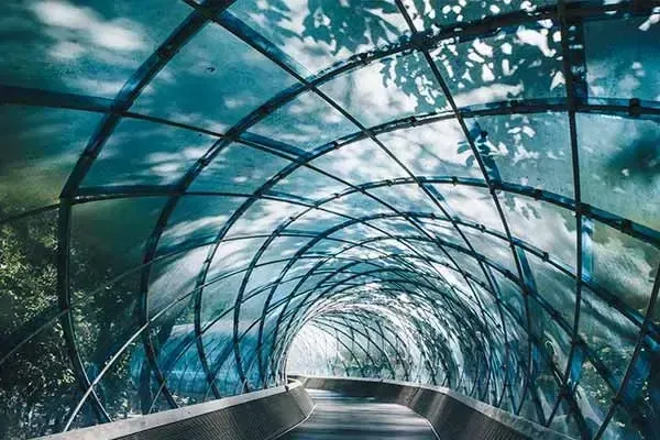 A Choice Of Enterprise Asset Management Options