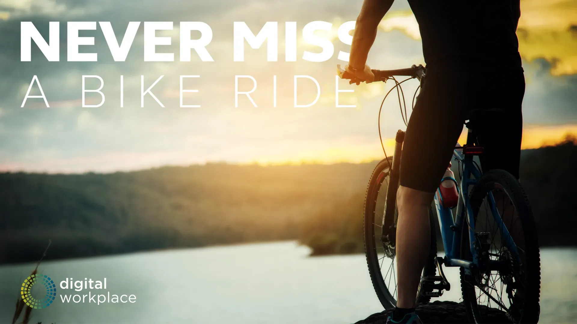 Cyclist on mountain bike