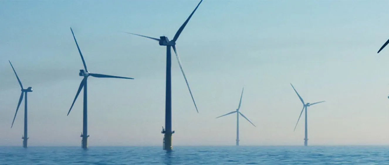 Carbon Neutrality Journey