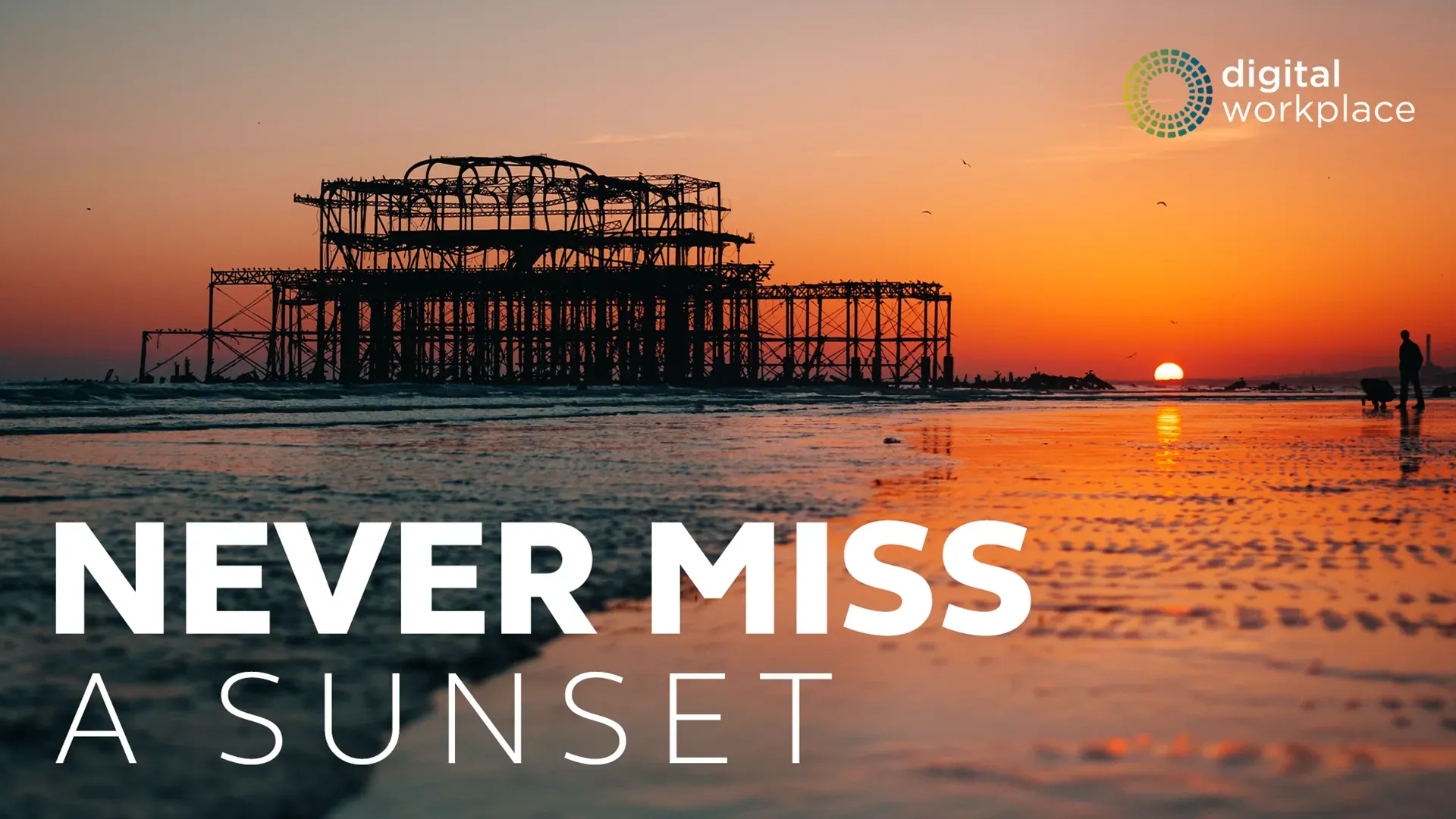 Brighton west pier sunset